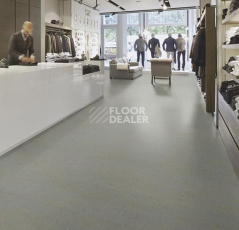 Forbo Marmoleum Solid Slate e3747-e374735 Lakeland shale фото 3 | FLOORDEALER